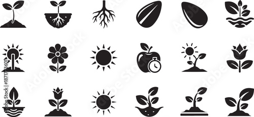 Plant growth cycle with sun and seeds seedling sprout