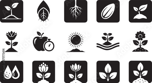 Plant growth cycle with sun water and roots sprout