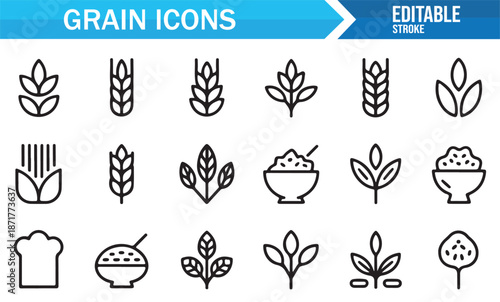 Wheat, barley, and rice grain outline icons