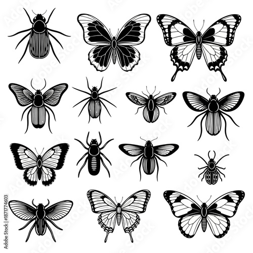 Elegant insect collection with detailed butterfly and beetle illustrations, perfect for nature-themed designs or educational materials, originally a scalable vector graphic