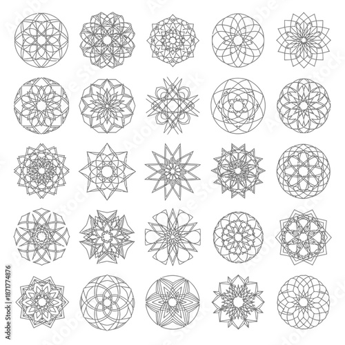 A professional photographer uses a modern DSLR camera to capture a sharp close-up of a vibrant green leaf in a bright outdoor setting