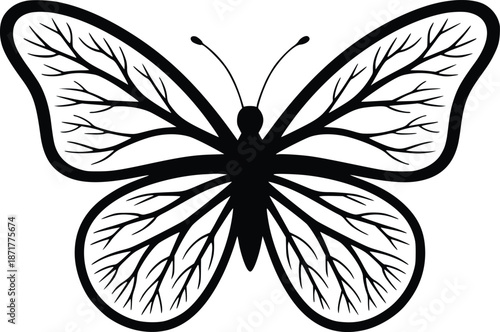 Elegant butterfly illustration