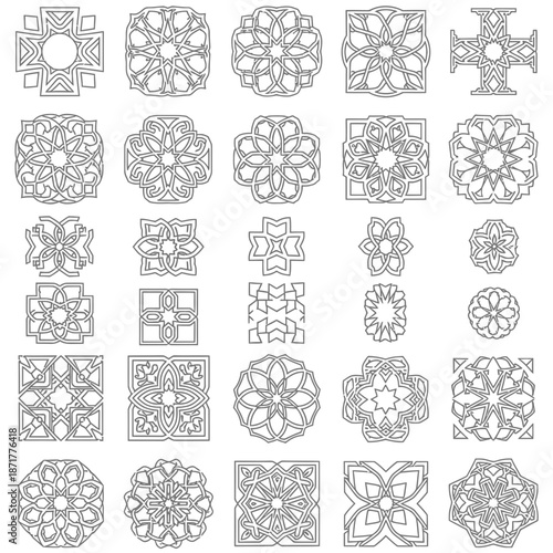 A professional photographer uses a modern DSLR camera to capture a sharp close-up of a vibrant green leaf in a bright outdoor setting