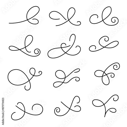 A professional photographer uses a modern DSLR camera to capture a sharp close-up of a vibrant green leaf in a bright outdoor setting