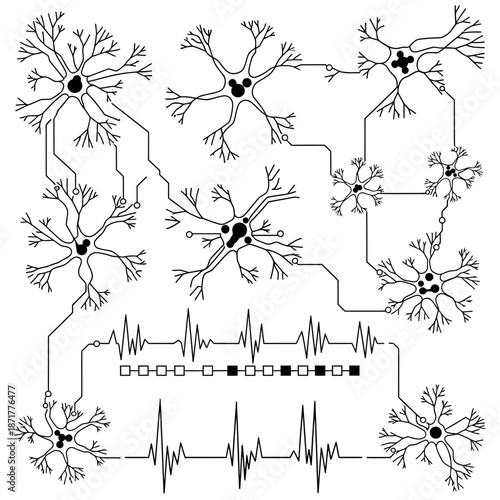 A professional photographer uses a modern DSLR camera to capture a sharp close-up of a vibrant green leaf in a bright outdoor setting