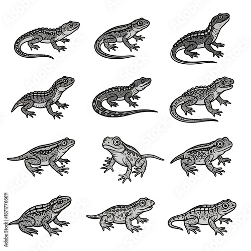 A professional photographer uses a modern DSLR camera to capture a sharp close-up of a vibrant green leaf in a bright outdoor setting