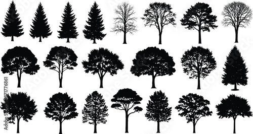 Large set of black vector tree silhouettes, pine, fir, oak, and bare winter trees, isolated illustration collection on white background.