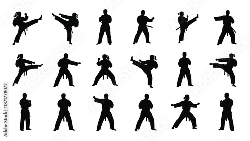 Silhouettes of martial arts poses showing dynamic movement and fighting techniques