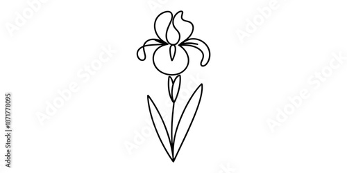 A minimalist single continuous line drawing of a beautiful iris flower isolated on a white background Vector, illustration