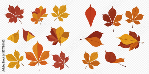 Collection of autumn leaves in various shapes and warm colors, perfect for seasonal designs.