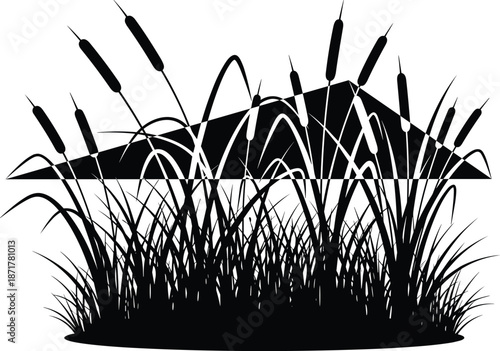 Reeds and cattails wetland silhouette illustration with grass and water reflection isolated on white background for nature landscape design use
