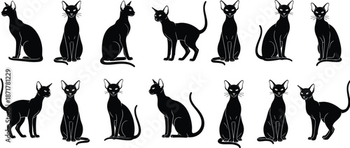 Black cat silhouette illustration set with elegant sitting and standing poses, sleek feline characters collection, minimal pet vector design for branding and decoration