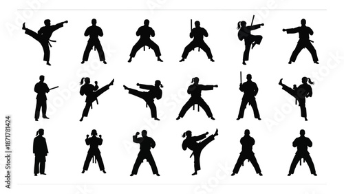 Silhouettes of martial artists demonstrating various dynamic fighting stances and poses
