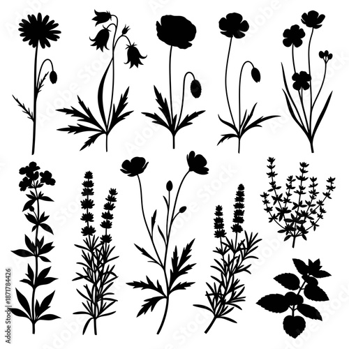 Please provide the sentence (under 200 characters) and the tags so I can generate the image description and name