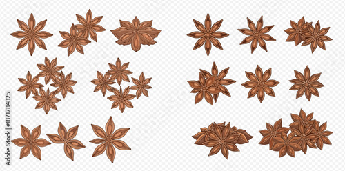 Set of star anise spice vector illustrations on transparent background, perfect for culinary and decorative designs.