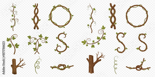 Set of decorative vines, branches, and leaves for natural design elements and borders.