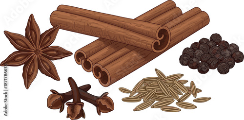 Aromatic spices collection with cinnamon sticks, star anise, cloves, peppercorns and fennel seeds, realistic vector illustration isolated