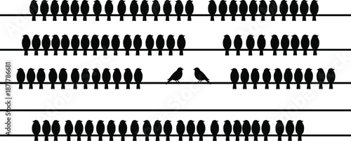 Birds Sitting on Wires Silhouette Pattern, Black Minimal Flock Illustration Showing Social Distancing and Unity Concept on White Background