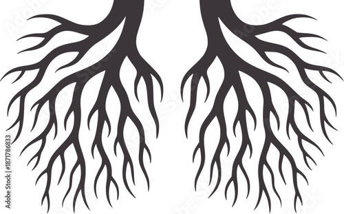 Dark gray tree roots branching symmetrically