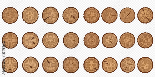 Set of various tree stumps with annual rings and cracks, isolated on transparent background.