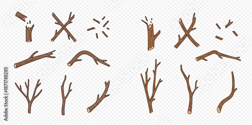 Set of various wooden branches and twigs, broken and whole, for crafts and decoration.