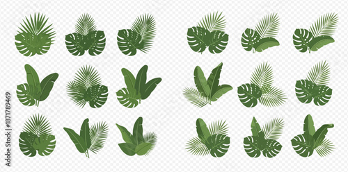 Set of various tropical leaves, including monstera, palm, and banana leaves, on a transparent background.