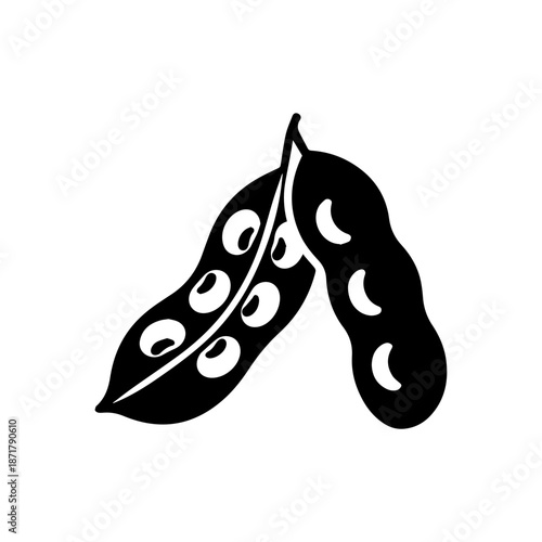 Black and white bean pods