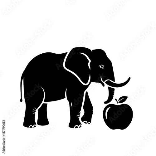 Elephant interacting with a ball