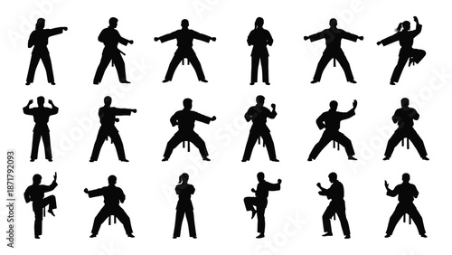 Silhouettes of people practicing martial arts in dynamic fighting poses