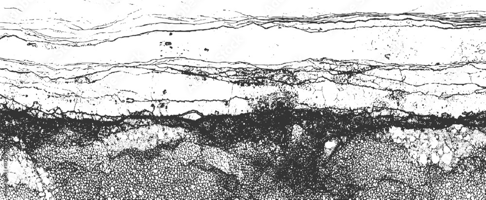 Obraz premium Microscopic view of layered geological showcasing intricate cellular structures and fractured surfaces in a high-contrast black and white palette