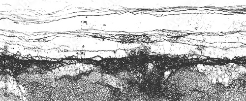 Microscopic view of layered geological showcasing intricate cellular structures and fractured surfaces in a high-contrast black and white palette