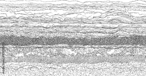 Detailed cross-section of geological strata showing distinct layers of sediment and rock formations with intricate line work and varying textures creating a natural abstract pattern
