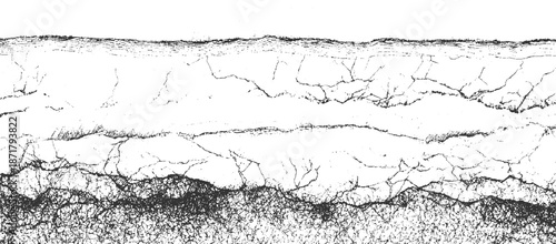 Cracked earth texture with a dense, web-like pattern at the bottom and fragmented lines above creating a distressed, abstract surface in black and white