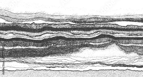 Detailed monochrome of geological cross-section showing distinct sedimentary layers with varied textures and organic patterns representing earth strata