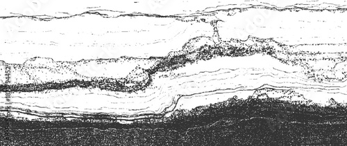 Abstract monochrome textured landscape with layered geological formations and dense forest canopy detail