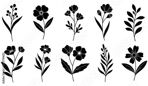 Elegant black floral silhouette vector collection with hand drawn wildflowers