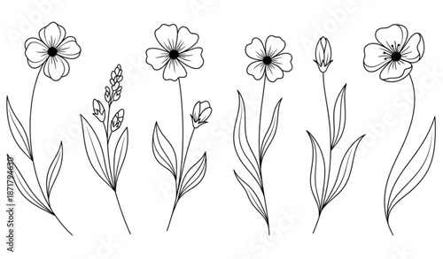 Minimal hand drawn black wildflower silhouette vector set