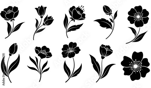Decorative black floral silhouette art vector elements collection