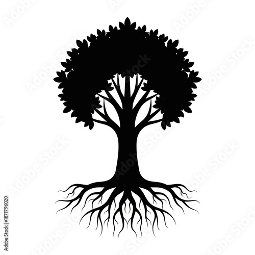 High quality professional stock photo of a young businesswoman using a laptop while sitting in a modern sunlit office workspace