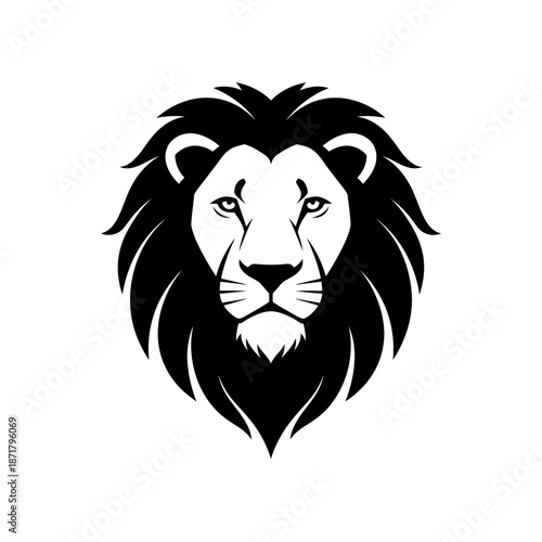 High quality professional stock photo of a young businesswoman using a laptop while sitting in a modern sunlit office workspace