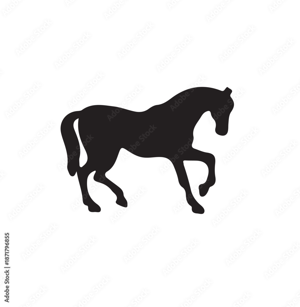 Obraz premium Freedom Step.