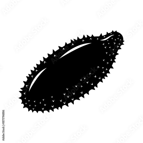 Black oval brush with stiff bristles