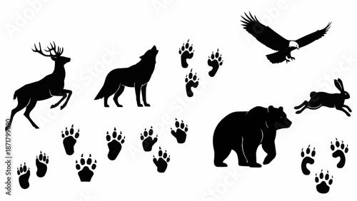 Wildlife animal silhouettes and footprints collection.