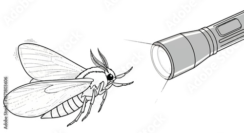 Hand Drawn Sketch of a Moth Flying Towards a Bright Flashlight Beam Light Source