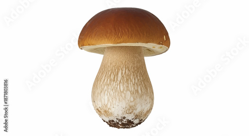 Fresh Edible Porcini Mushroom Isolated on White Background for Culinary and Nature Design