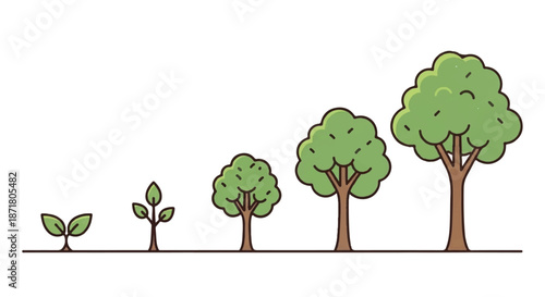 Sequential Stages of Tree Growth Process From Seedling to Mature Forest Tree Vector Illustration