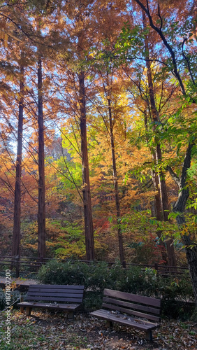 아름다운 가을 공원 풍경