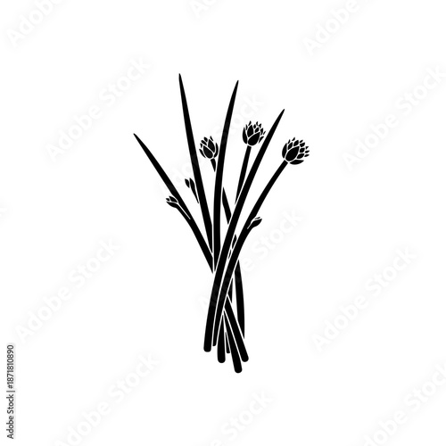 Bundle of black zip ties