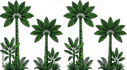 Green tropical palm tree collection, exotic jungle plants illustration, botanical nature vector set, summer landscape design elements