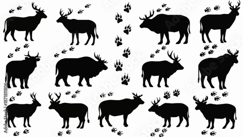 Deer Silhouette Collection with Paw Prints.